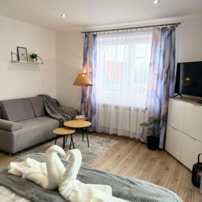 Apartamenty Kamata, Tylicz